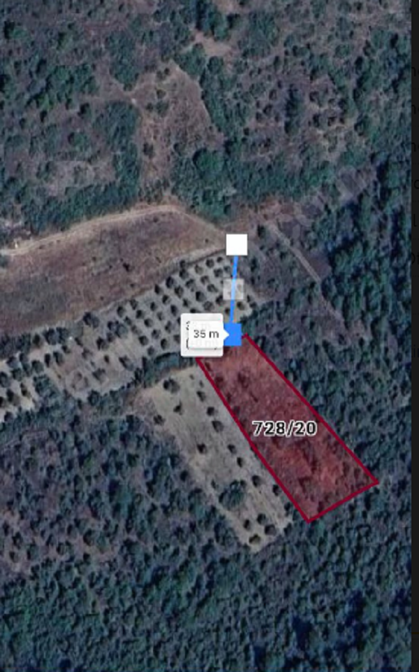 PAMUKOVA'DA SATILIK TARLA